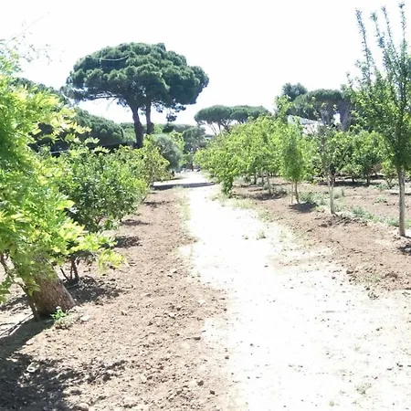 Bungalow Para Quienes Buscan Tranquilidad Chiclana de la Frontera Buitenkant foto