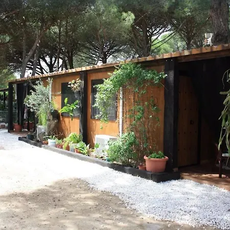 Bungalow Para Quienes Buscan Tranquilidad Chiclana de la Frontera Buitenkant foto