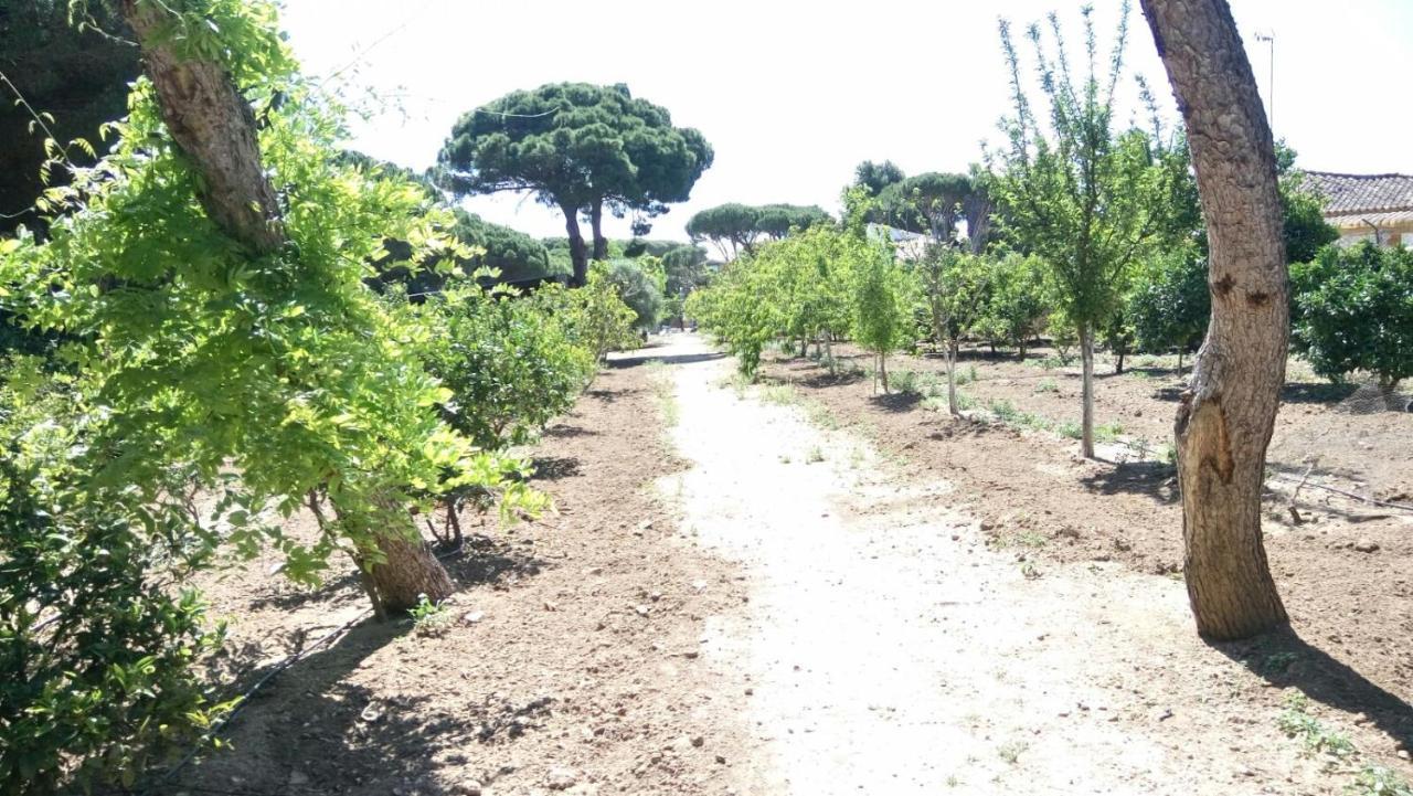 Quienes Buscan Tranquilidad Appartamento Chiclana de la Frontera